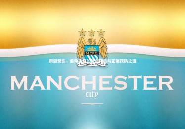 28圈网页版：跟腱受伤，运动生涯的致命打击与正确预防之道